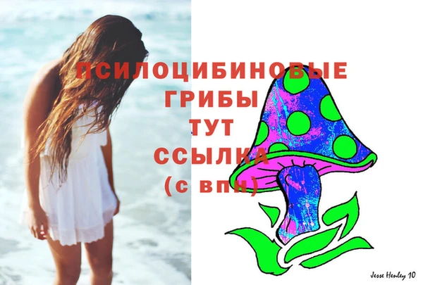 прущие грибы Кулебаки